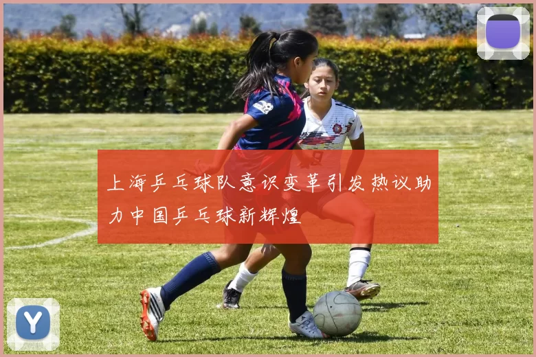 上海乒乓球队意识变革引发热议助力中国乒乓球新辉煌