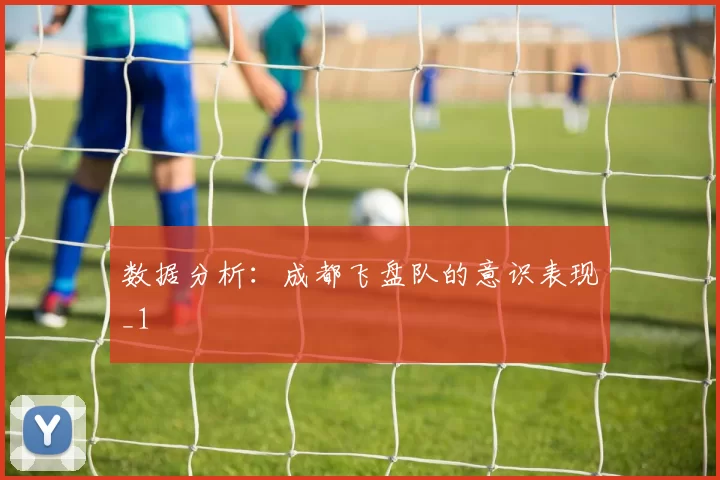 数据分析：成都飞盘队的意识表现_1