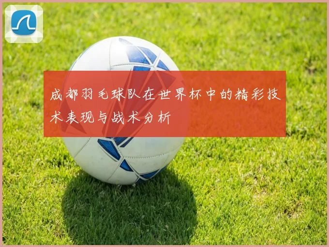 成都羽毛球队在世界杯中的精彩技术表现与战术分析