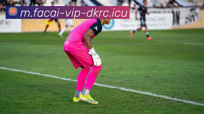 乐竞体育服务体系